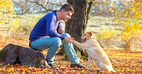 Dog Waste Cleanup